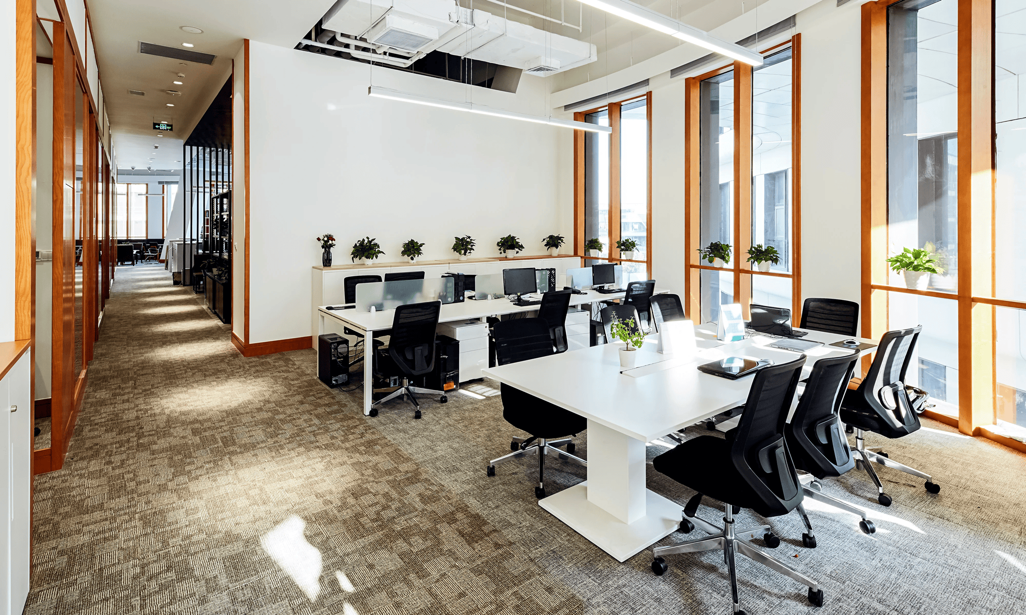 image-Dec-12-2025-02-38-15-0827-PM