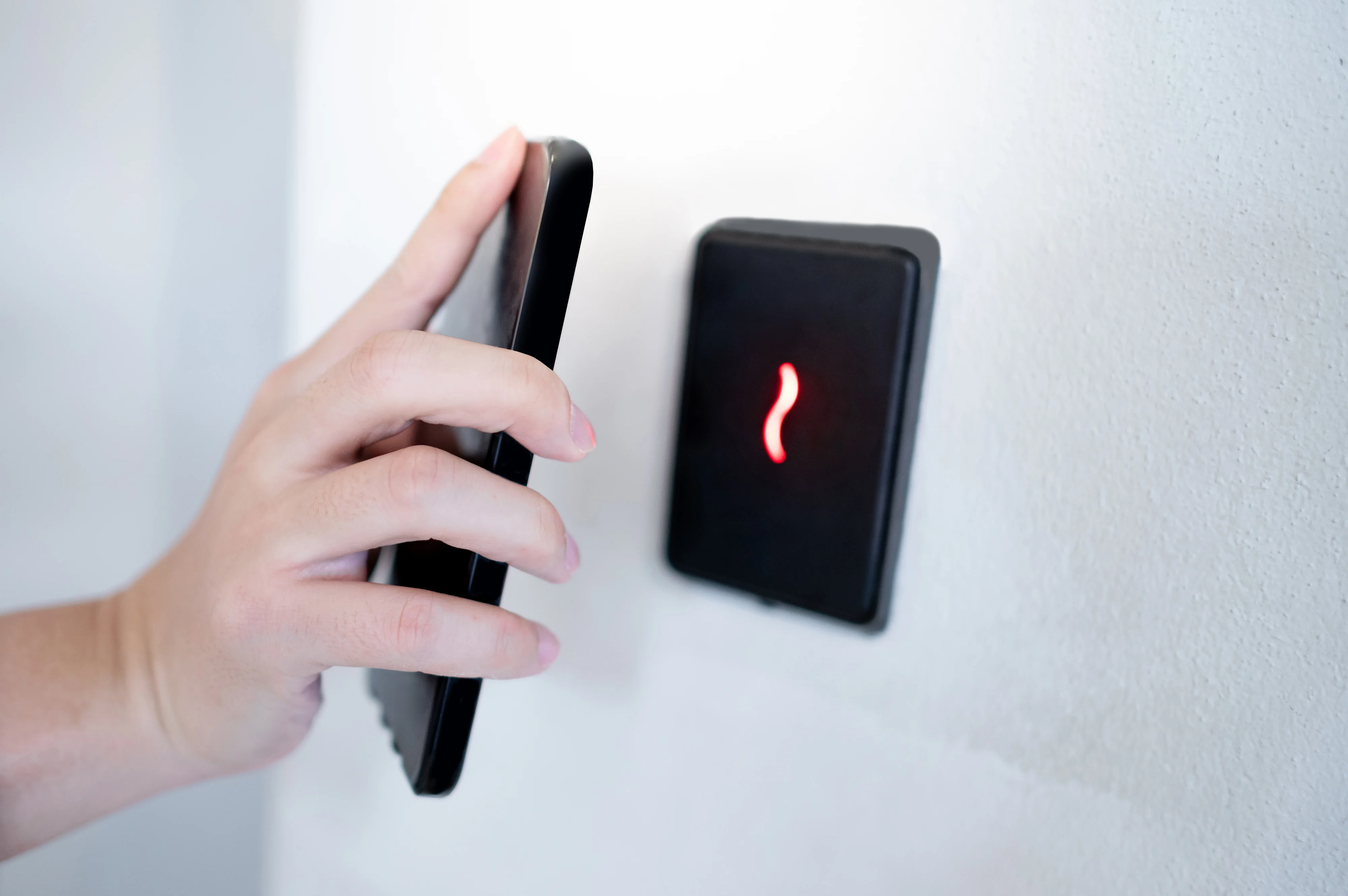 image-Dec-12-2025-02-47-33-0534-PM